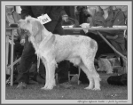 Filename=A_ApplauseJunkie_BW.jpg
Filesize=148KiB
Dimensions=1100x871
Date added=Aug 12, 2017 A_ApplauseJunkie_BW.jpg