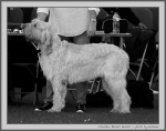Filename=C_BeezerGeezer_BW.jpg
Filesize=131KiB
Dimensions=1100x871
Date added=Aug 12, 2017 C_BeezerGeezer_BW.jpg