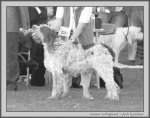 Filename=C_Castrogiovanni_BW.jpg
Filesize=156KiB
Dimensions=1100x869
Date added=Aug 12, 2017 C_Castrogiovanni_BW.jpg
