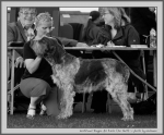 Filename=I_Dragon_BW.jpg
Filesize=167KiB
Dimensions=1100x916
Date added=Aug 12, 2017 I_Dragon_BW.jpg