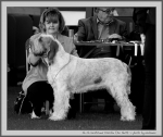 Filename=I_Fiorella_BW.jpg
Filesize=147KiB
Dimensions=1100x931
Date added=Aug 12, 2017 I_Fiorella_BW.jpg