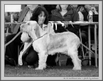 Filename=I_Lula_BW.jpg
Filesize=163KiB
Dimensions=1100x871
Date added=Aug 12, 2017 I_Lula_BW.jpg