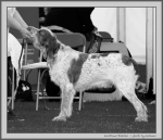 Filename=I_Rubolino_BW.jpg
Filesize=156KiB
Dimensions=1100x953
Date added=Aug 12, 2017 I_Rubolino_BW.jpg