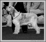 Filename=I_Ryea_BW.jpg
Filesize=161KiB
Dimensions=1100x1006
Date added=Aug 12, 2017 I_Ryea_BW.jpg