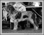 Filename=J_Fabrizio_BW.jpg
Filesize=170KiB
Dimensions=1100x882
Date added=Aug 12, 2017 J_Fabrizio_BW.jpg