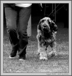Filename=J_Phoebe_1_BW.jpg
Filesize=207KiB
Dimensions=1046x1100
Date added=Aug 12, 2017 J_Phoebe_1_BW.jpg
