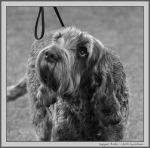Filename=J_Phoebe_BW.jpg
Filesize=154KiB
Dimensions=1100x1087
Date added=Aug 12, 2017 J_Phoebe_BW.jpg