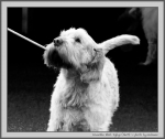 Filename=K_EbrelFyllys_BW.jpg
Filesize=114KiB
Dimensions=1100x927
Date added=Aug 12, 2017 K_EbrelFyllys_BW.jpg