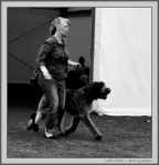 Filename=L_Morello_1_BW.jpg
Filesize=132KiB
Dimensions=1062x1100
Date added=Aug 12, 2017 L_Morello_1_BW.jpg