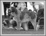Filename=L_Morello_BW.jpg
Filesize=177KiB
Dimensions=1100x871
Date added=Aug 12, 2017 L_Morello_BW.jpg