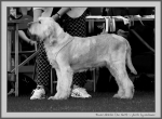 Filename=R_Abrielle_BW.jpg
Filesize=153KiB
Dimensions=1100x810
Date added=Aug 12, 2017 R_Abrielle_BW.jpg