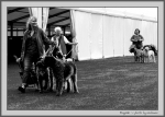 Nom du fichier=Ringside_BW.jpg
Taille du fichier=175Ko
Dimensions : 1100x787
Ajouté le : 12 Août 2017 Ringside_BW.jpg