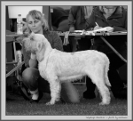 Filename=T_Grazioso_BW.jpg
Filesize=157KiB
Dimensions=1100x1000
Date added=Aug 12, 2017 T_Grazioso_BW.jpg