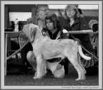 Filename=T_MuckNMagic_BW.jpg
Filesize=167KiB
Dimensions=1100x969
Date added=Aug 12, 2017 T_MuckNMagic_BW.jpg