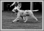 Filename=T_TheWizardAndI_1_BW.jpg
Filesize=110KiB
Dimensions=1100x775
Date added=Aug 12, 2017 T_TheWizardAndI_1_BW.jpg