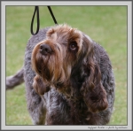 Filename=J_Phoebe.jpg
Filesize=178KiB
Dimensions=1100x1087
Date added=Aug 12, 2017 J_Phoebe.jpg