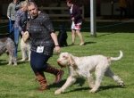 Filename=Clare___Stanley_28129.jpg
Filesize=339KiB
Dimensions=1152x851
Date added=Aug 12, 2017 Clare___Stanley_28129.jpg
