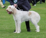 Filename=Ali-Spinone.jpg
Filesize=255KiB
Dimensions=800x661
Date added=Aug 12, 2017 Ali-Spinone.jpg