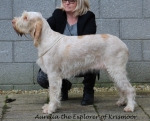 Filename=Aurelia-TheExplorer.jpg
Filesize=220KiB
Dimensions=800x646
Date added=Aug 12, 2017 Aurelia-TheExplorer.jpg