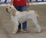 Filename=C-Zambana.jpg
Filesize=190KiB
Dimensions=800x654
Date added=Mar 22, 2021 C-Zambana.jpg