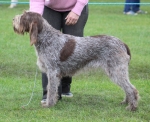 Filename=Diana-DiRimnisInostricani.jpg
Filesize=284KiB
Dimensions=800x653
Date added=Mar 22, 2021 Diana-DiRimnisInostricani.jpg