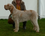 Filename=Aurelia-TheExplorer.jpg
Filesize=201KiB
Dimensions=800x642
Date added=Mar 22, 2021 Aurelia-TheExplorer.jpg