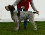 Filename=C-Giuda.jpg
Filesize=206KiB
Dimensions=800x627
Date added=Mar 22, 2021 C-Giuda.jpg