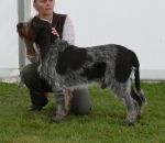 Filename=T-Ettore-1.jpg
Filesize=206KiB
Dimensions=800x694
Date added=Mar 22, 2021 T-Ettore-1.jpg