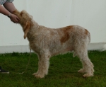 Filename=T-HeyJude.jpg
Filesize=198KiB
Dimensions=800x661
Date added=Mar 22, 2021 T-HeyJude.jpg