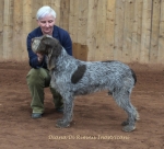 Filename=Diana-DiRimnisInostricani.jpg
Filesize=234KiB
Dimensions=800x727
Date added=Aug 12, 2017 Diana-DiRimnisInostricani.jpg