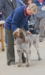 Filename=I-Amadeo-2.jpg
Filesize=140KiB
Dimensions=777x1280
Date added=Mar 22, 2021 I-Amadeo-2.jpg