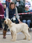 Filename=L-LaCassa.jpg
Filesize=296KiB
Dimensions=800x1076
Date added=Mar 22, 2021 L-LaCassa.jpg