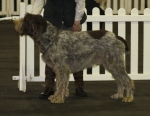 Filename=F-Jacomelo.jpg
Filesize=174KiB
Dimensions=800x621
Date added=Mar 22, 2021 F-Jacomelo.jpg