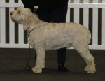 Filename=G-Squillo.jpg
Filesize=144KiB
Dimensions=800x619
Date added=Mar 22, 2021 G-Squillo.jpg