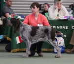 Filename=Franca-Ferola-1.jpg
Filesize=234KiB
Dimensions=800x690
Date added=Aug 12, 2017 Franca-Ferola-1.jpg