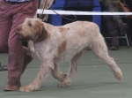 Filename=I-Arthur-2.jpg
Filesize=164KiB
Dimensions=800x597
Date added=Aug 12, 2017 I-Arthur-2.jpg