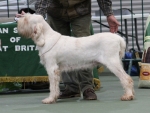 Filename=B-Streyga.jpg
Filesize=185KiB
Dimensions=800x605
Date added=Mar 22, 2021 B-Streyga.jpg
