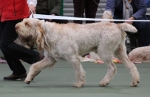 Filename=C-Chauki-2.jpg
Filesize=159KiB
Dimensions=800x518
Date added=Mar 22, 2021 C-Chauki-2.jpg