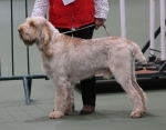 Filename=C-Chauki.jpg
Filesize=182KiB
Dimensions=800x625
Date added=Mar 22, 2021 C-Chauki.jpg