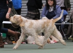 Filename=G-Galli-2.jpg
Filesize=190KiB
Dimensions=800x580
Date added=Mar 22, 2021 G-Galli-2.jpg