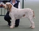 Filename=I-Fiorella.jpg
Filesize=175KiB
Dimensions=800x639
Date added=Mar 22, 2021 I-Fiorella.jpg