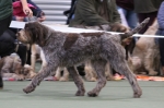 Filename=L-Frue-5.jpg
Filesize=159KiB
Dimensions=800x530
Date added=Mar 22, 2021 L-Frue-5.jpg
