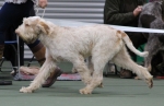Filename=L-LaCassa-2.jpg
Filesize=151KiB
Dimensions=800x519
Date added=Mar 22, 2021 L-LaCassa-2.jpg