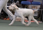 Filename=S-Colorado-3.jpg
Filesize=162KiB
Dimensions=800x551
Date added=Mar 22, 2021 S-Colorado-3.jpg