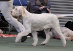 Filename=S-Colorado-4.jpg
Filesize=169KiB
Dimensions=800x567
Date added=Mar 22, 2021 S-Colorado-4.jpg