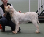 Filename=T-Grazioso.jpg
Filesize=178KiB
Dimensions=800x678
Date added=Mar 22, 2021 T-Grazioso.jpg