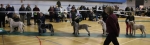 Filename=Dog_Lineup.jpg
Filesize=161KiB
Dimensions=1064x326
Date added=Aug 12, 2017 Dog_Lineup.jpg