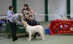 Filename=Specials_281129.JPG
Filesize=173KiB
Dimensions=800x484
Date added=Mar 22, 2021 Specials_281129.JPG