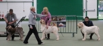 Filename=Specials_281629.JPG
Filesize=131KiB
Dimensions=800x362
Date added=Mar 22, 2021 Specials_281629.JPG