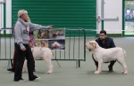 Filename=Specials_281729.JPG
Filesize=169KiB
Dimensions=800x521
Date added=Mar 22, 2021 Specials_281729.JPG
